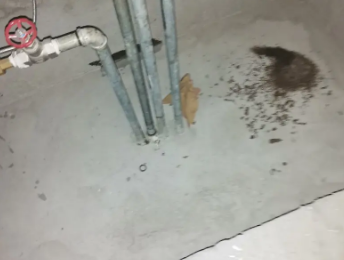 霍邱卫生间测漏水价格明细